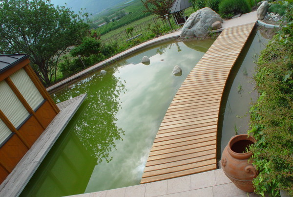 Naturteich Kurtatsch